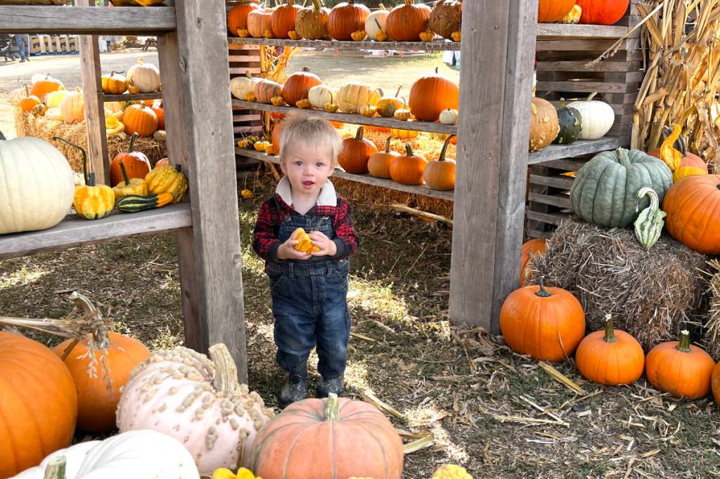 Linden Lane Farms hosted their annual Pumpkin Festival Oct. 9-19. (Betsy Kline/Castlegar News)